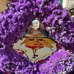 Il Sole